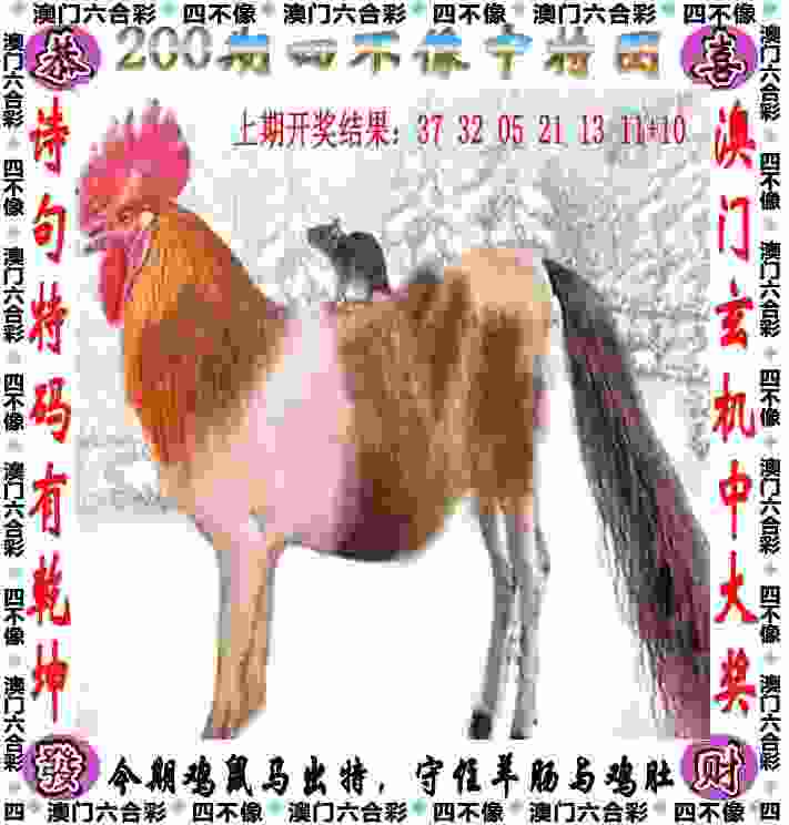 合肥市行知学校：三支球队竞争城市足球联赛